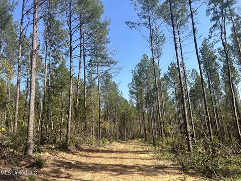 Knight Road, Georgetown, MS 39078 photo 3