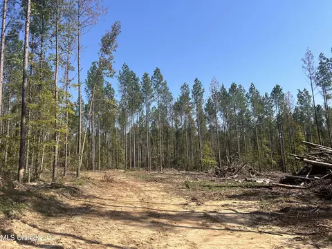 Knight Road, Georgetown, MS 39078 photo 12