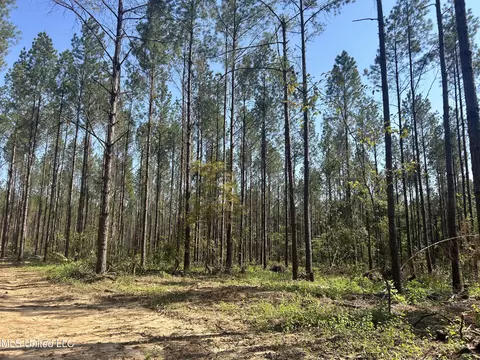 Rails Road, Georgetown, MS 39078 photo 5