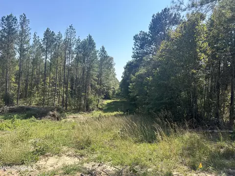 Rails Road, Georgetown, MS 39078 photo 3