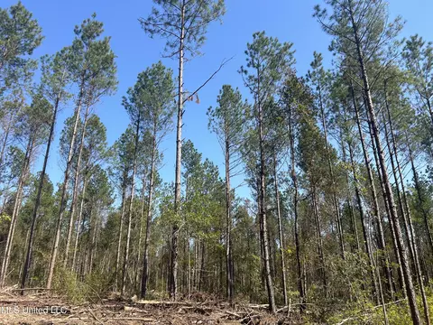Rails Road, Georgetown, MS 39078 photo 4