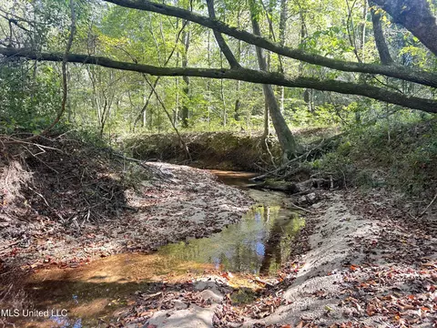 Rails Road, Georgetown, MS 39078 photo 8