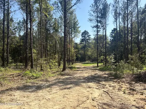Rails Road, Georgetown, MS 39078 photo 11