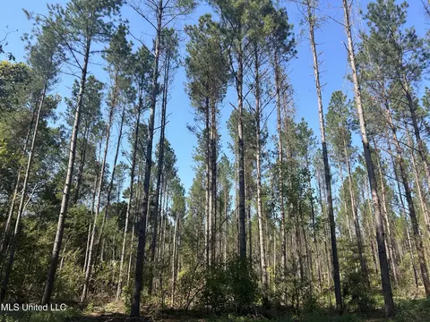 Rails Road, Georgetown, MS 39078 photo 6