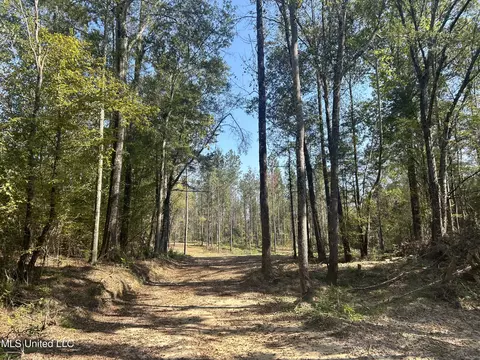Rails Road, Georgetown, MS 39078