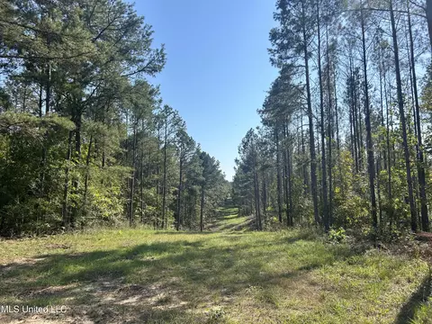 Rials Road, Georgetown, MS 39078