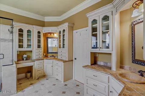 Bath - 682 Spring Lake Dr, Pearl, MS 39208 photo 2 of 8