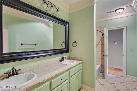 Bath - 682 Spring Lake Dr, Pearl, MS 39208 photo 6 of 8