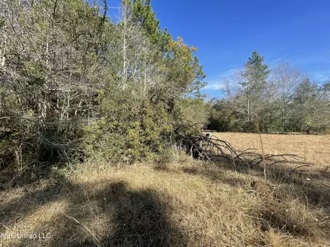 Martina Street, Saucier, MS 39574 photo 9