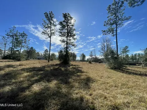 Martina Street, Saucier, MS 39574 photo 6