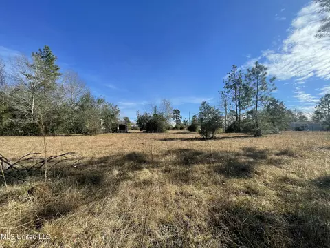 Martina Street, Saucier, MS 39574 photo 8