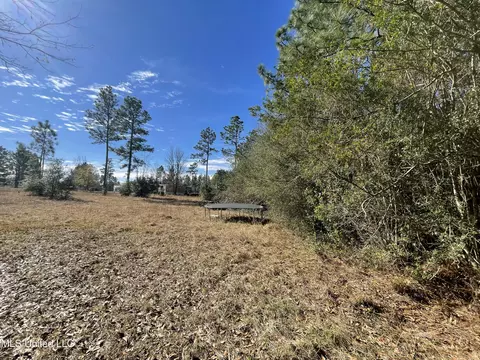 Martina Street, Saucier, MS 39574 photo 10