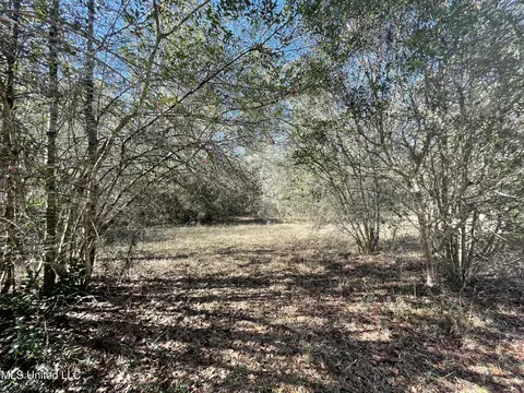 Martina Street, Saucier, MS 39574 photo 11