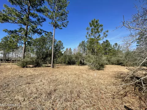 Martina Street, Saucier, MS 39574 photo 3