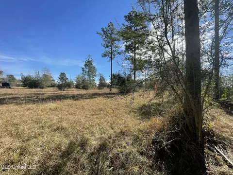 Martina Street, Saucier, MS 39574 photo 5
