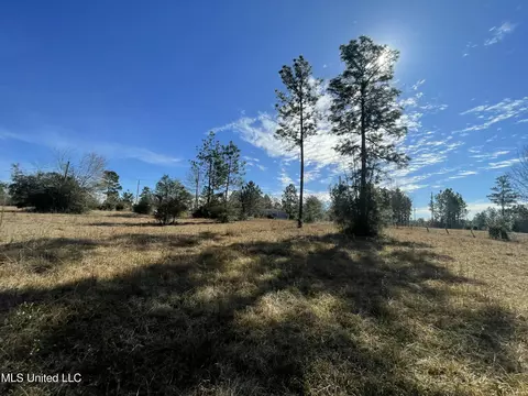 Martina Street, Saucier, MS 39574 photo 7