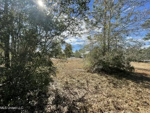 Martina Street, Saucier, MS 39574 photo 13