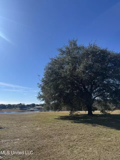 Shavon Drive, Carriere, MS 39426
