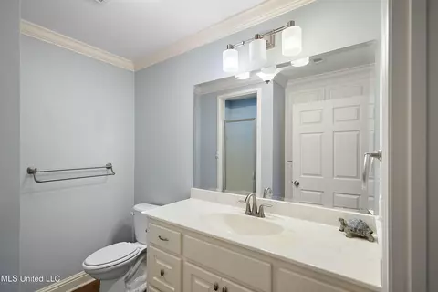 Bath - 703 Audubon Point Dr, Brandon, MS 39047 photo 3 of 3