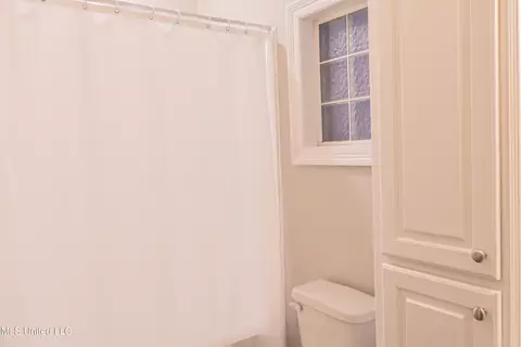 Bath - 2176 Johns Mayton Rd, Brandon, MS 39042 photo 6 of 6