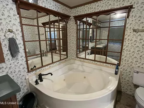 Bath - 1281 Sanctuary Dr, Brandon, MS 39042 photo 5 of 5