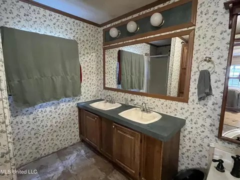 Bath - 1281 Sanctuary Dr, Brandon, MS 39042 photo 4 of 5
