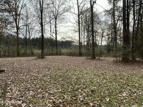 Exterior - 1281 Sanctuary Dr, Brandon, MS 39042 photo 10 of 11