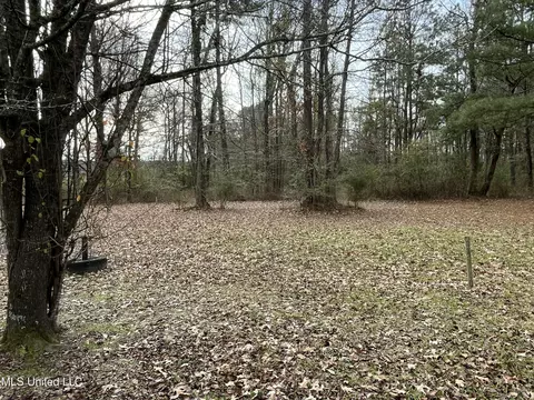 Exterior - 1281 Sanctuary Dr, Brandon, MS 39042 photo 9 of 11