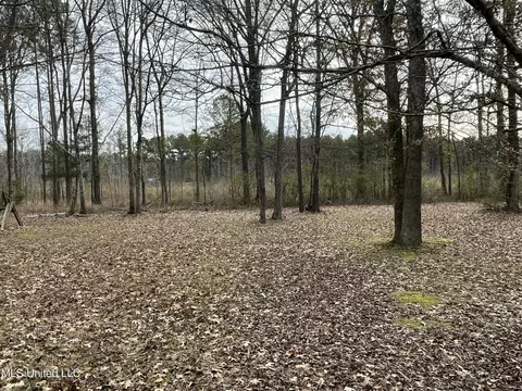 Exterior - 1281 Sanctuary Dr, Brandon, MS 39042 photo 8 of 11
