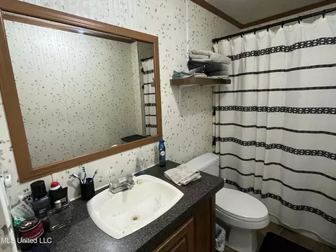 Bath - 1281 Sanctuary Dr, Brandon, MS 39042 photo 2 of 5