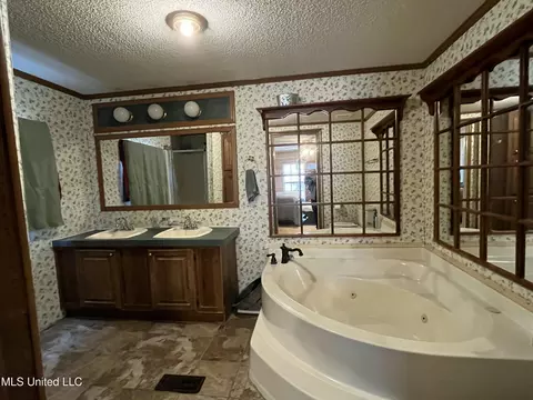 Bath - 1281 Sanctuary Dr, Brandon, MS 39042 photo 3 of 5