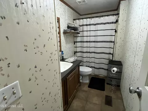 Bath - 1281 Sanctuary Dr, Brandon, MS 39042 photo 1 of 5