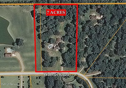 978 Walnut Rd, Sardis, MS 38666 photo 45
