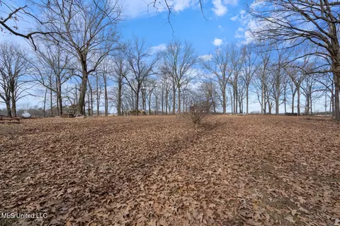 978 Walnut Rd, Sardis, MS 38666 photo 46