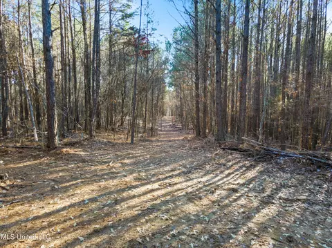 1560 Highway 2, Hickory Flat, MS 38633 photo 30