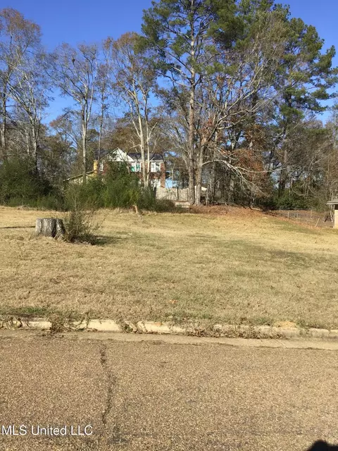 0 Oak Vinyard Dr, Jackson, MS 39272 photo 2