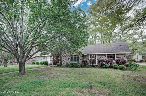 75 Pine Cv, Brandon, MS 39042 photo 4