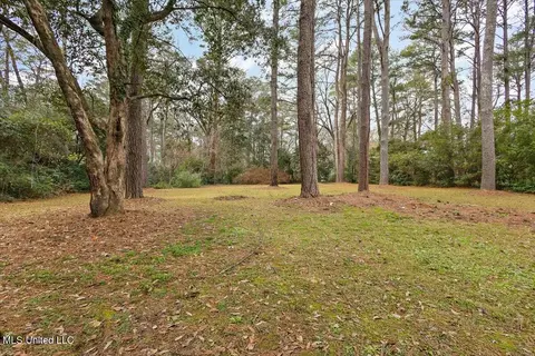 Exterior - 5557 Ridgewood Rd, Jackson, MS 39211 photo 8 of 8
