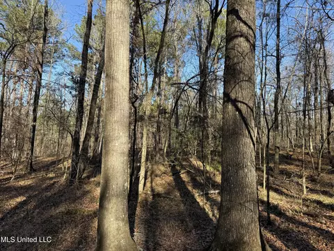 S Mcraven Road, Jackson, MS 39209 photo 12