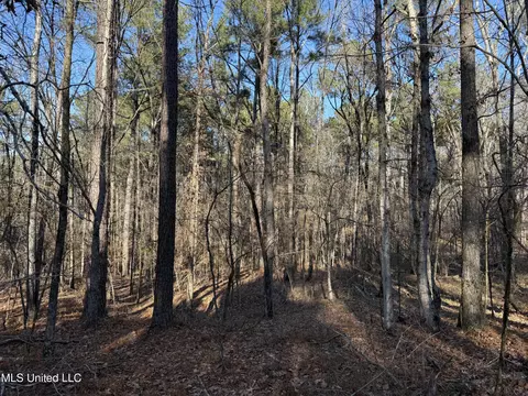 S Mcraven Road, Jackson, MS 39209 photo 15