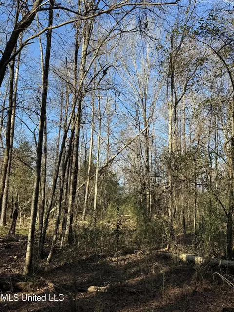 S Mcraven Road, Jackson, MS 39209 photo 3