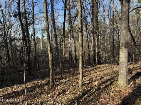 S Mcraven Road, Jackson, MS 39209 photo 7