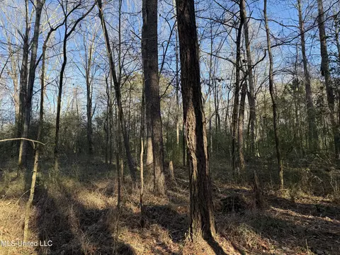 S Mcraven Road, Jackson, MS 39209 photo 20