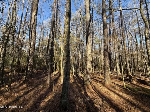 S Mcraven Road, Jackson, MS 39209 photo 17