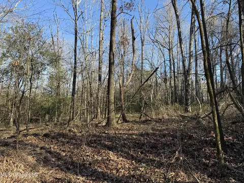 S Mcraven Road, Jackson, MS 39209 photo 8