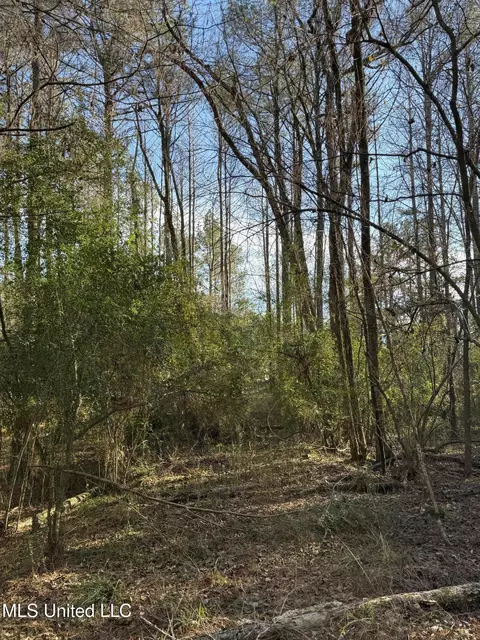 S Mcraven Road, Jackson, MS 39209 photo 16