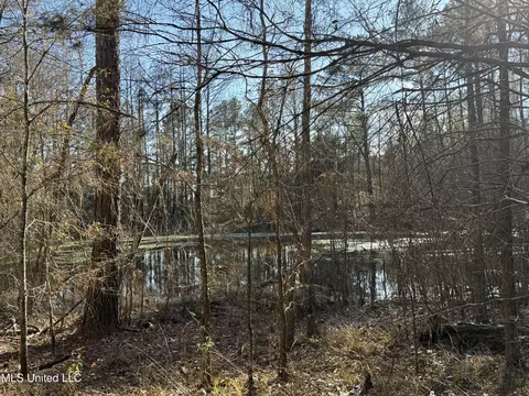 S Mcraven Road, Jackson, MS 39209 photo 18