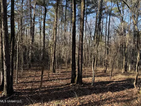S Mcraven Road, Jackson, MS 39209 photo 14