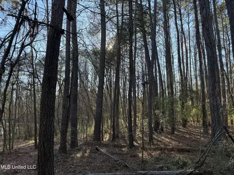 S Mcraven Road, Jackson, MS 39209 photo 19