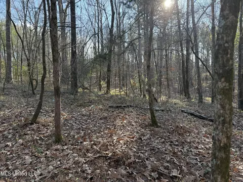 S Mcraven Road, Jackson, MS 39209 photo 2